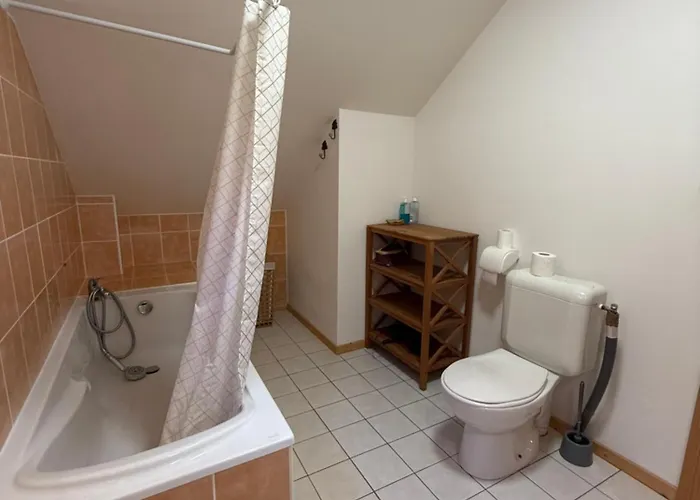 Le Des Vanneaux * Xonrupt-Longemer